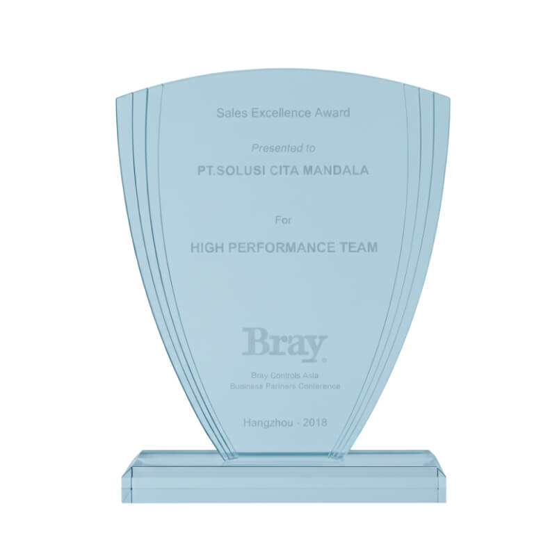 Sales Excellence Award for high performance team - Bray  2018